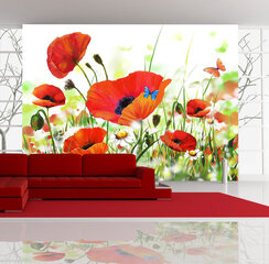 Fototapeet - Country poppies hind ja info | Fototapeedid | hansapost.ee