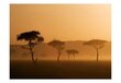Fototapeet - Massai Mara hind ja info | Fototapeedid | hansapost.ee