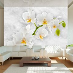Fototapeet - Lyrical orchid - White hind ja info | Fototapeedid | hansapost.ee