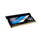 NB MEMORY 16GB PC2500 DDR4/SO F4-3200C22S-16GRS G.SKILL hind ja info | Operatiivmälu | hansapost.ee