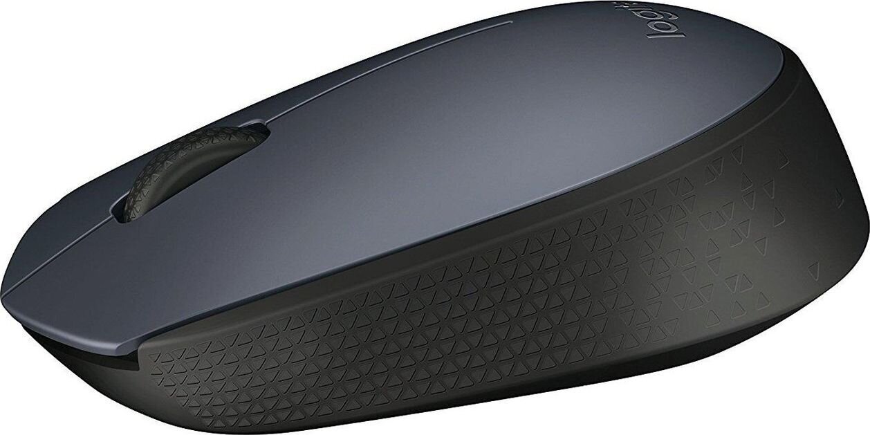 Logitech - M170, hall/must цена и информация | Arvutihiired | hansapost.ee