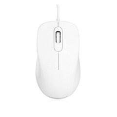 Modecom M10, белый цена и информация | Компьютерные мыши | hansapost.ee
