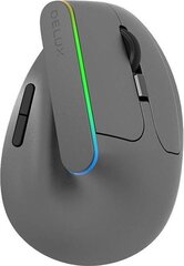 Juhtmeta hiir Delux M618DB hind ja info | Arvutihiired | hansapost.ee