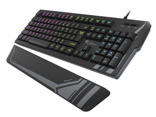 Genesis Rhod 350 RGB Gaming keyboard, RG цена и информация | Клавиатуры | hansapost.ee