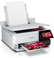 Epson EcoTank L8160 hind ja info | Printerid | hansapost.ee