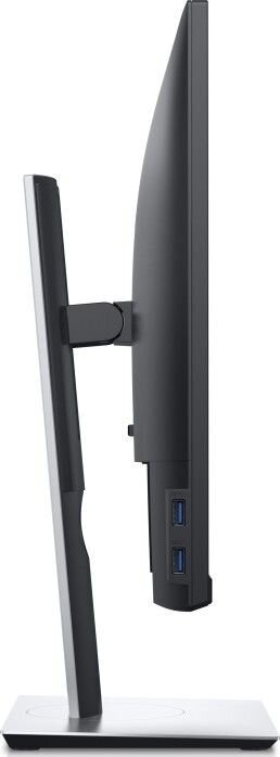 Dell P2421D цена и информация | Monitorid | hansapost.ee