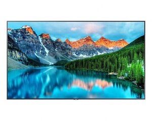 Samsung LH43BEAHLGUXEN, 42.5" цена и информация | Мониторы | hansapost.ee