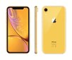 Mobiiltelefon Apple iPhone XR, 64 GB, Kollane цена и информация | Telefonid | hansapost.ee