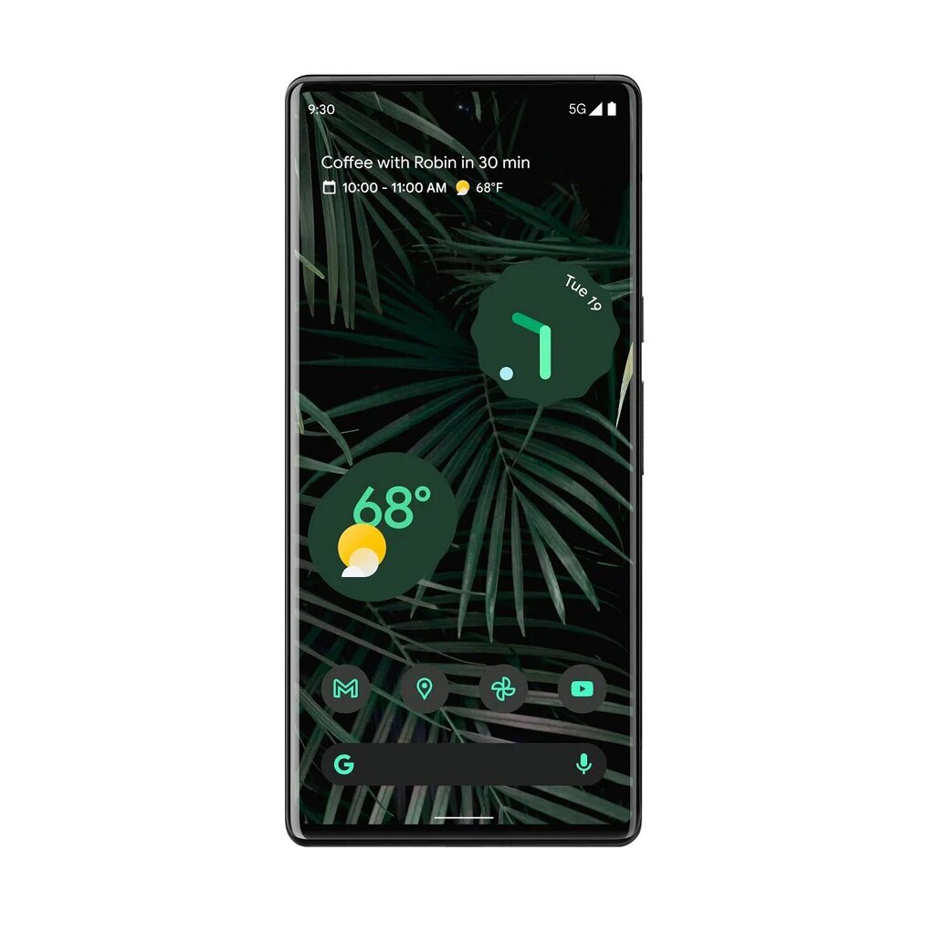 Google Pixel 6 Pro 5G Dual SIM 12/128GB Stormy Black (GA03164-GB) цена и информация | Telefonid | hansapost.ee