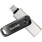 Sandisk iXpand Flash Drive Go 256GB, USB 3.0, USB-A, Lightning цена и информация | Mälupulgad | hansapost.ee