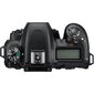 Nikon D7500 Body peegelkaamera hind ja info | Fotoaparaadid | hansapost.ee