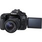 Peegelkaamera Canon EOS 80D EF-S 18-55mm IS STM цена и информация | Fotoaparaadid | hansapost.ee