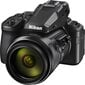 Nikon COOLPIX P950 цена и информация | Fotoaparaadid | hansapost.ee