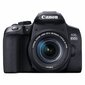 Canon EOS 850D 18-55mm IS STM hind ja info | Fotoaparaadid | hansapost.ee
