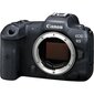 Canon EOS R5 Body цена и информация | Fotoaparaadid | hansapost.ee