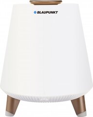 Blaupunkt BT25LAMP, valge hind ja info | Blaupunkt Arvutid ja IT- tehnika | hansapost.ee