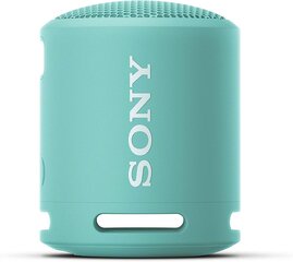 Sony SRSXB13LI.CE7, sinine цена и информация | Аудио колонки | hansapost.ee