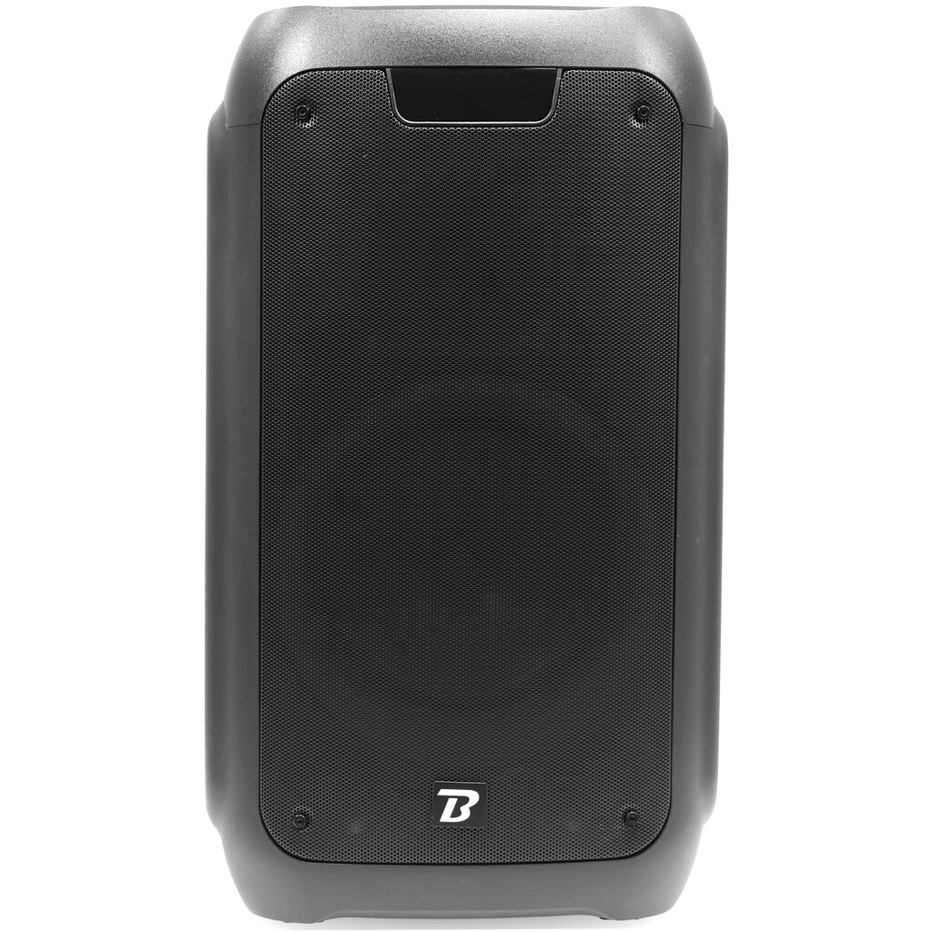 BoomTone DJ TRAVELER 300 hind ja info | Kõlarid | hansapost.ee