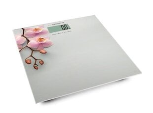 Электронные весы Esperanza Orchid EBS010 цена и информация | Весы (бытовые) | hansapost.ee