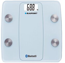 Blaupunkt умныe весы BSM711BT цена и информация | Весы (бытовые) | hansapost.ee