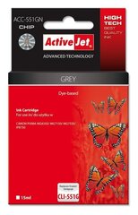 Activejet ACC-551GN (Canon CLI-551G), серый цена и информация | Картриджи для струйных принтеров | hansapost.ee