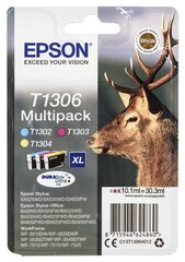 Epson DURABrite Ultra Ink  T1306 Cartrid цена и информация | Картриджи для струйных принтеров | hansapost.ee