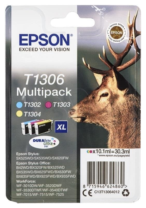 Epson DURABrite Ultra Ink T1306 Cartrid hind ja info | Tindiprinteri kassetid | hansapost.ee