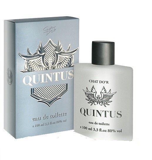 Tualettvesi Chat D'or Quintus EDT meestele 100 ml hind ja info | Parfüümid naistele | hansapost.ee