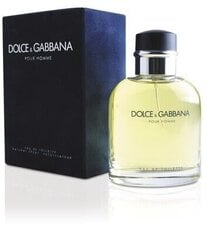 Dolce & Gabbana Pour Homme EDT meestele 200 ml hind ja info | Parfüümid meestele | hansapost.ee
