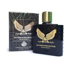 Туалетная вода для мужчин Big Eagle Collection Black, 100 мл цена и информация | Духи для Него | hansapost.ee