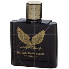 Туалетная вода для мужчин Big Eagle Collection Black, 100 мл цена и информация | Мужские духи | hansapost.ee