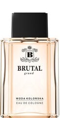 La Rive Brutal Grand EDC для мужчин 100 ml цена и информация | Духи для Него | hansapost.ee