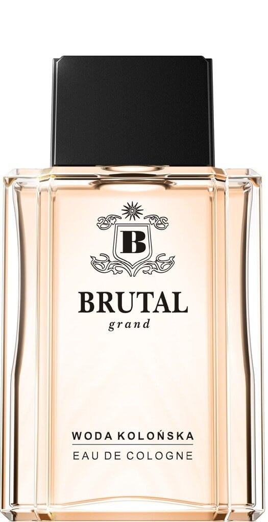 Kölnivesi La Rive Brutal Grand EDC meestele 100 ml цена и информация | Parfüümid meestele | hansapost.ee