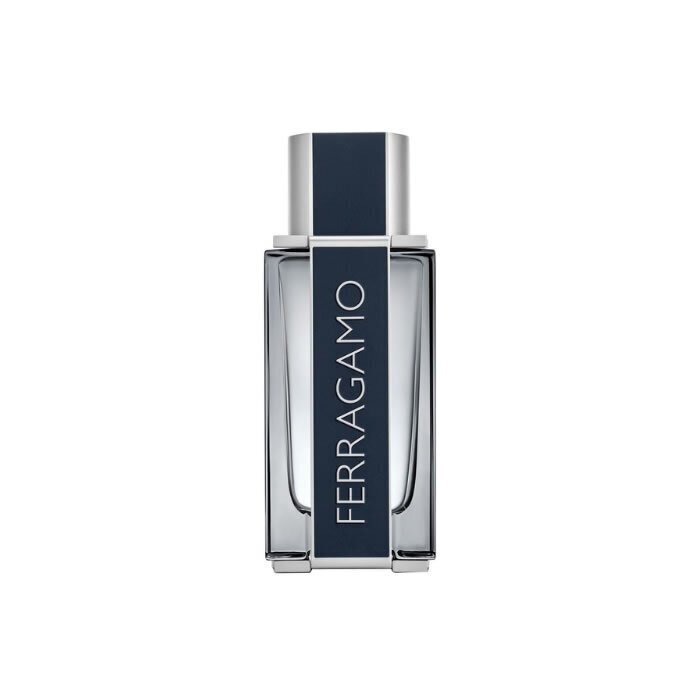 Tualettvesi Salvatore Ferragamo Ferragamo EDT meestele 50 ml hind ja info | Parfüümid meestele | hansapost.ee