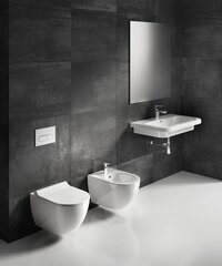 WC Ravak Uni Chrome RimOff, X01535 hind ja info | Ravak Remondikaubad, sanitaartehnika ja kütteseadmed | hansapost.ee