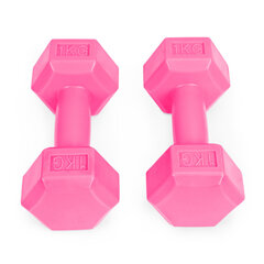 Fitness hantlikomplekt, 2 x 1 kg цена и информация | Гантели, гири, штанги | hansapost.ee