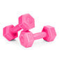 Fitness hantlikomplekt, 2 x 1 kg цена и информация | Hantlid, kangid, raskused | hansapost.ee