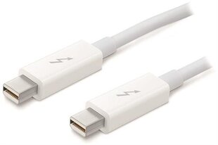 Apple, Thunderbolt/USB-A, 0.5 м цена и информация | Apple Телевизоры и аксессуары | hansapost.ee