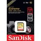 SanDisk Extreme MicroSDXC 128GB hind ja info | Fotoaparaatide mälukaardid | hansapost.ee