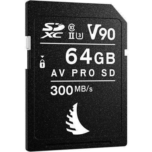Angelbird AVP064SDMK2V90 цена и информация | Fotoaparaatide mälukaardid | hansapost.ee