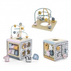 Деревянный куб образовательной деятельности PolarB Viga цена и информация | Игрушки для малышей | hansapost.ee