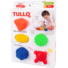 Sensoorsed pallid Tullo 5 tk, 420 hind ja info | Beebide mänguasjad | hansapost.ee