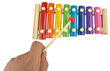 Värviline ksülofon цена и информация | Arendavad laste mänguasjad | hansapost.ee