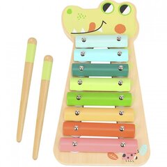 Деревянный ксилофон Крокодил цена и информация | Развивающие игрушки для детей | hansapost.ee