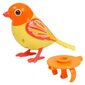 Laulev lind Silverlit Digi Birds, 1 tk цена и информация | Mänguasjad tüdrukutele | hansapost.ee