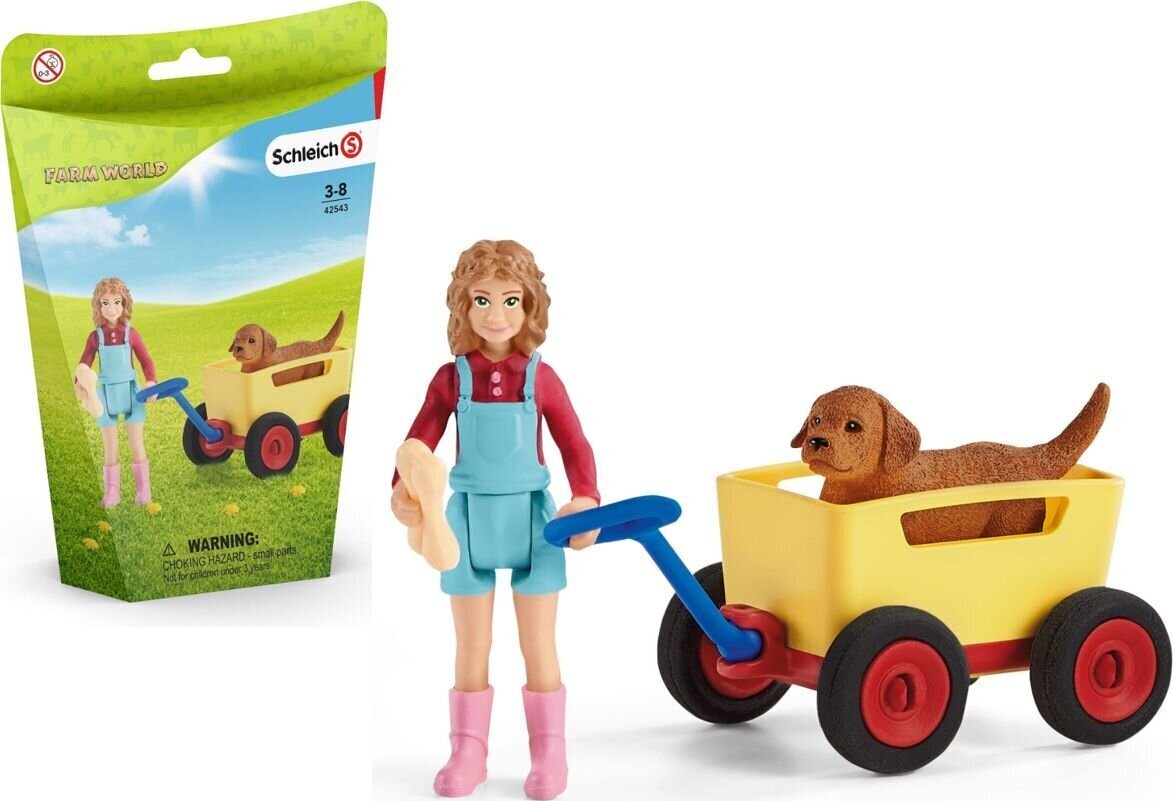 Reis autoga Schleich Farm World, 42543 hind ja info | Mänguasjad tüdrukutele | hansapost.ee