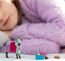 Schleich Horse Club Развлечения с жеребенком цена и информация | Игрушки для девочек | hansapost.ee