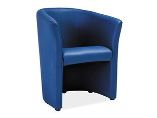 Стул Tm-1, синий цена и информация | Кресла для отдыха | hansapost.ee