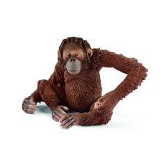 Kuju Orangutan emane Schleich Wild Life hind ja info | Mänguasjad poistele | hansapost.ee