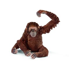 Фигурка Самка орангутанга Schleich Wild Life цена и информация | Игрушки для мальчиков | hansapost.ee